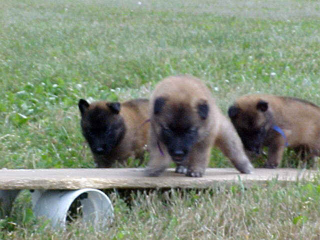 MVC-073F_4wks