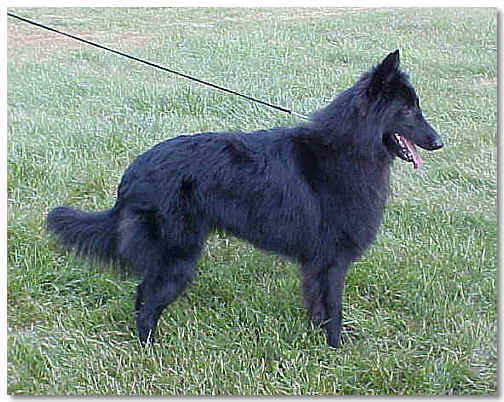 Bear at 16 mos of age