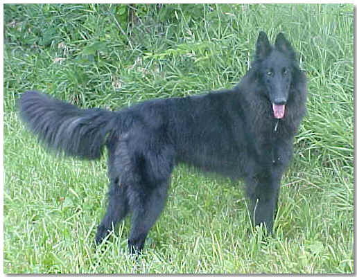 Bear at 13 mos of age