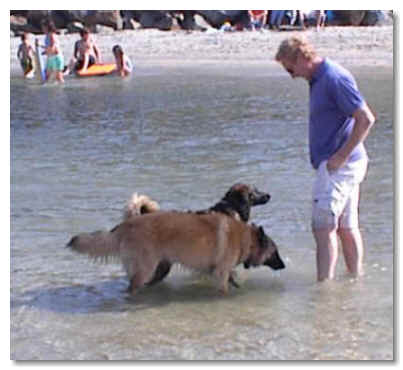 Ben and Millie at the beach