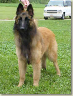 Griffey @ 6 months