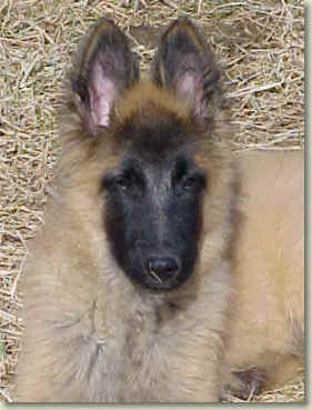 Griffey @ 3 months