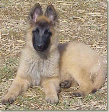 Griffey @ 3 months