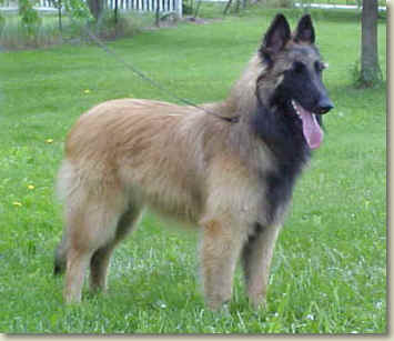 Griffey @ 6.5 mos