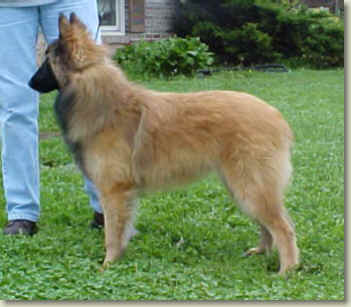 Griffey @ 6 months