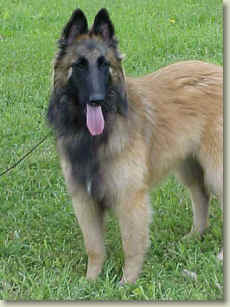 Griffey @ 6.5 mos