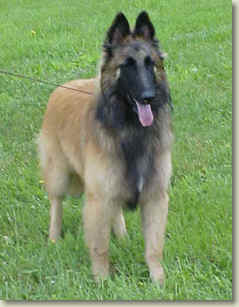 Griffey @ 6.5 mos
