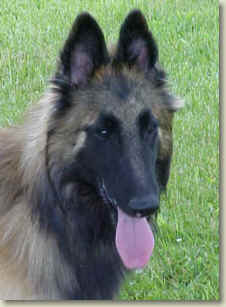Griffey @ 6.5 months