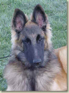 Griffey @ 5 months