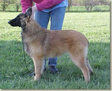Griffey at 5 months