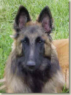 Griffey @ 6 months