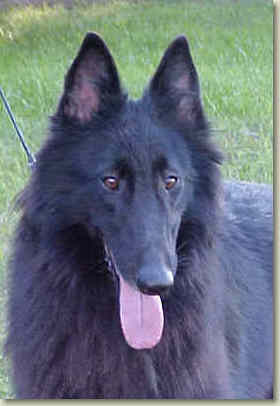 Hula at 16 mos of age