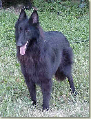 Hula at 16 mo of age