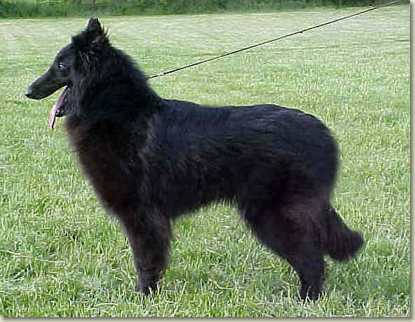 Hula at 23 months of age