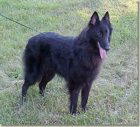 Hula at 16 mos of age