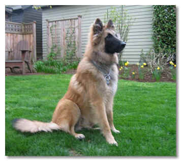 Lacoda at 11 mos of age