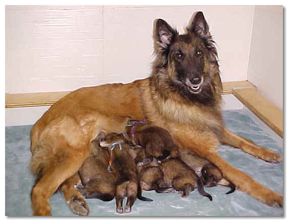 Marissa and babies