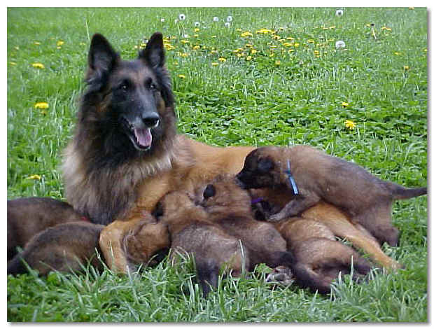 Mom and her babies