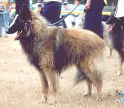 Milton at the 1998 French Speciality
