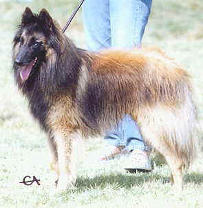Milton at the 1999 French National Specialty
