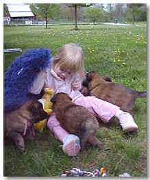 Kayleigh and puppies