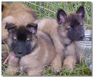 Pink Girl and Red Boy