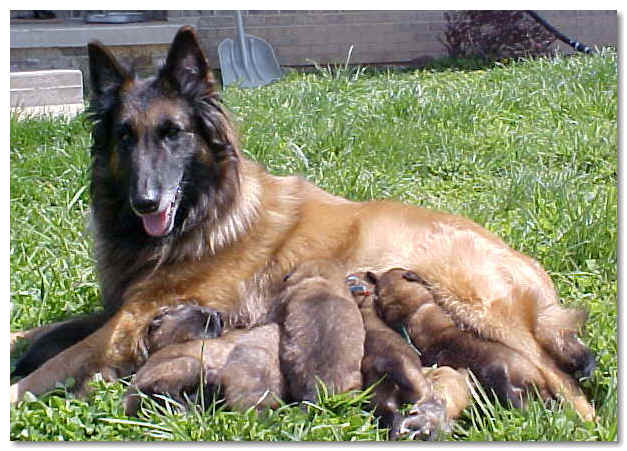 Marissa and babies