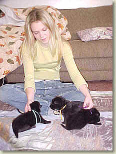 our daughter Hannah with the puppies