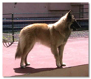 Usi at 8 mos of age